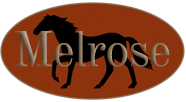 Melrose Antiques & Fine Interiors